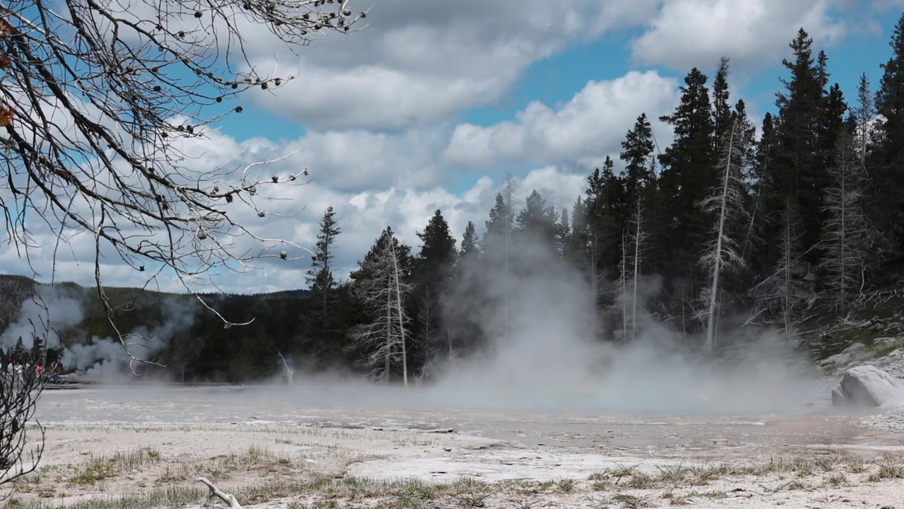 Vapor caliente que se eleva de una cuenca de géiseres geotérmicos en un entorno boscoso en el Parque Nacional de Yellowstone, Wyoming. Un paisaje natural pintoresco que muestra actividad volcánica con vapor y aguas termales