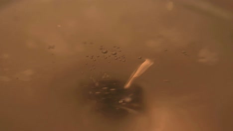 franciacorta rosè brut 스파클링 와인 잔의 중심을 자세히 살펴보십시오.