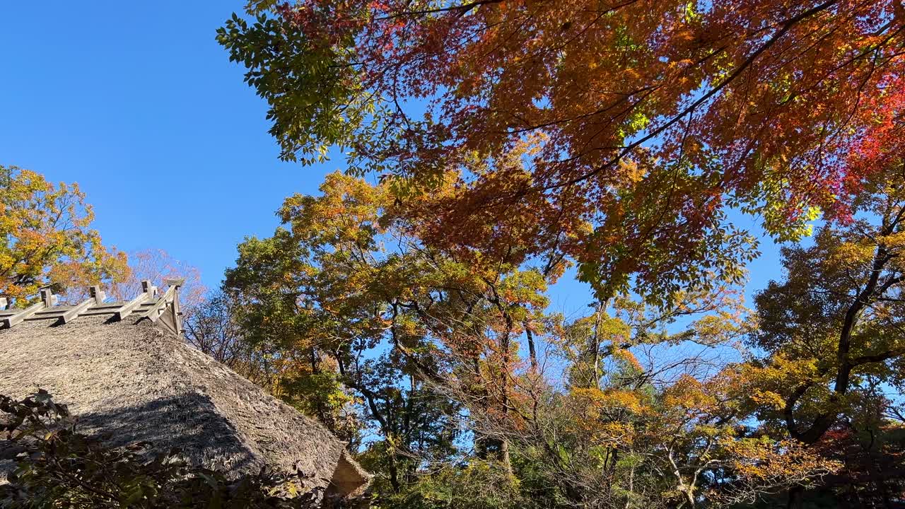 Incredible scenery at typical Japanese straw roof house next to autumn colors