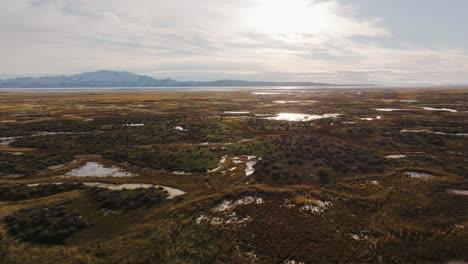 Volando-Sobre-Pantanos-En-Los-Campos-De-Syracuse,-Utah,-Cerca-Del-Lago-Y-La-Isla-Antílope