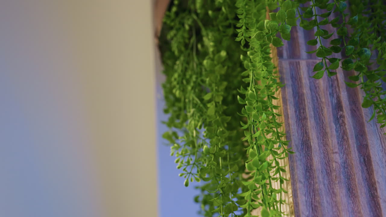 Close view of green flowers being decorated on satin wall, hands arranging petals against smooth fabric, soft light revealing delicate texture, elegant floral backdrop, fresh decoration