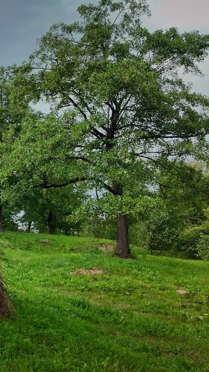 Pan shot across Romanian meadow to bell shaped straw haystack VERTICAL