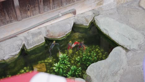 japanese street with koi pond in side of road