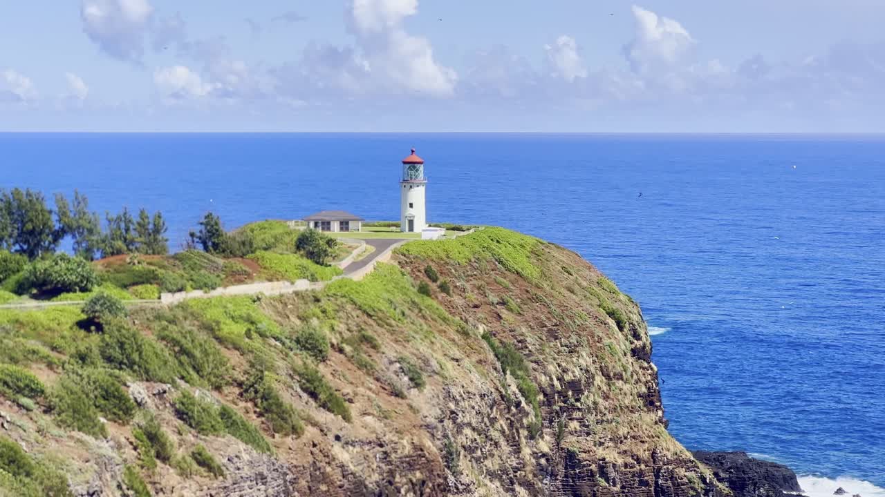 Cinematic long lens panning shot of seabirds flying around the protected Kilauea Point National Wildlife Refuge at the northern tip of Kaua'i, Hawai'i