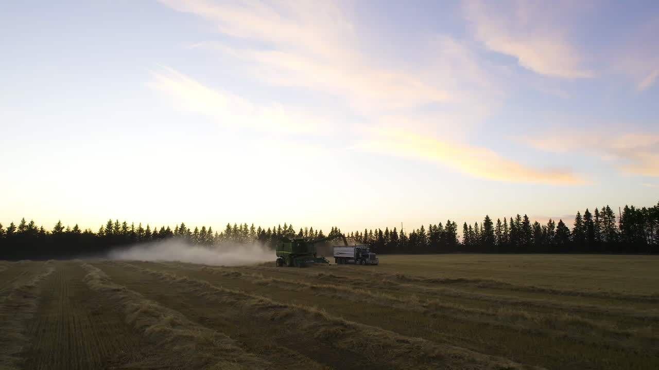 A Combine Filling Up A Truck With Crops At Sunset In Red Deer County, Alberta, Canada - Drone Pullback