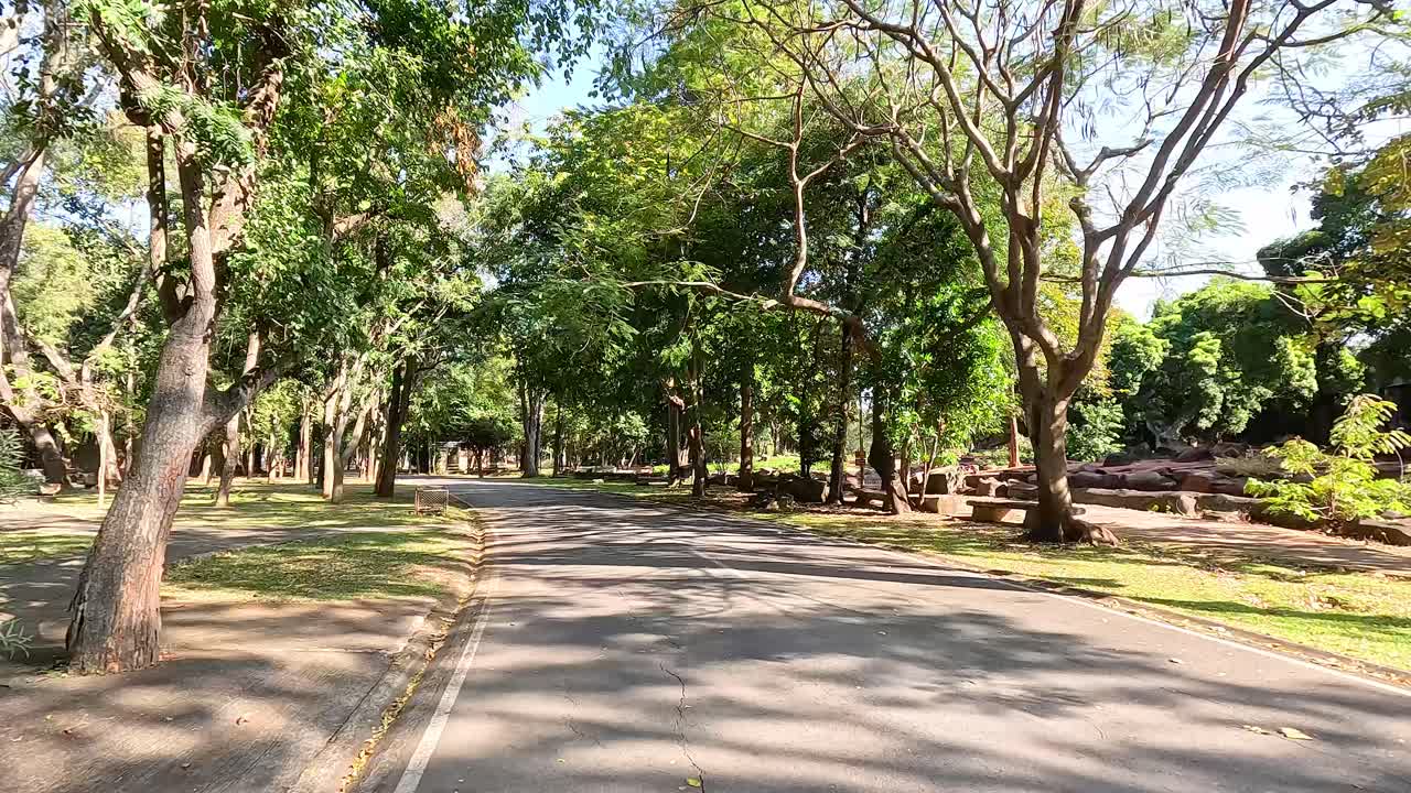 carretera del parque con árboles