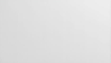 plain white background