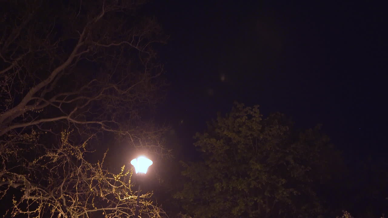 linterna callejera brillando por un camino vacío del parque por la noche, praga, chequia, bloqueo