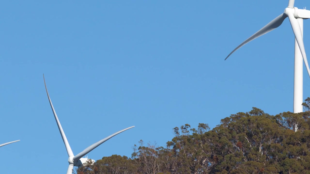 Turbine eoliche bianche girano contro un cielo azzurro limpido sopra un crinale boscoso in Australia