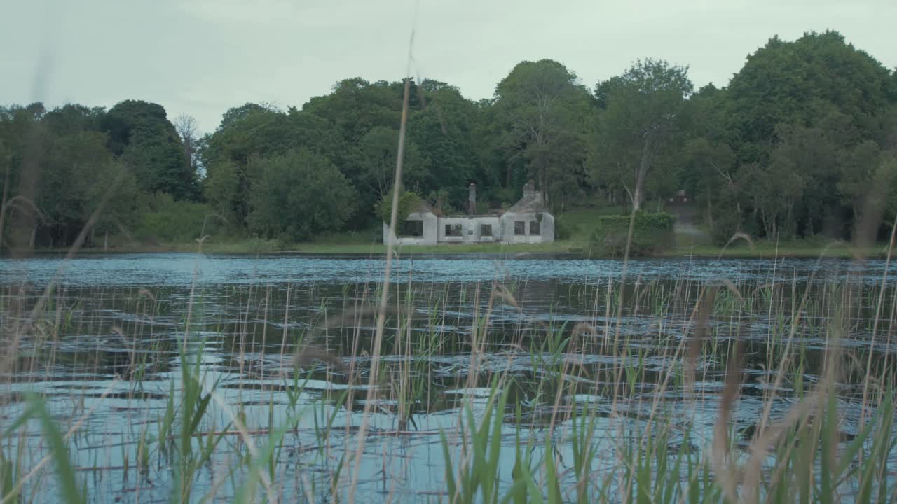 갈대를 통해 추적 샷은 버려진 방갈로 강 해안선을 보여줍니다