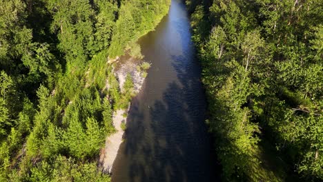 Gorgeous-aerial-shot-of-flowing-Tolt-River-surrounded-by-lush-green-forest-in-Washington-State