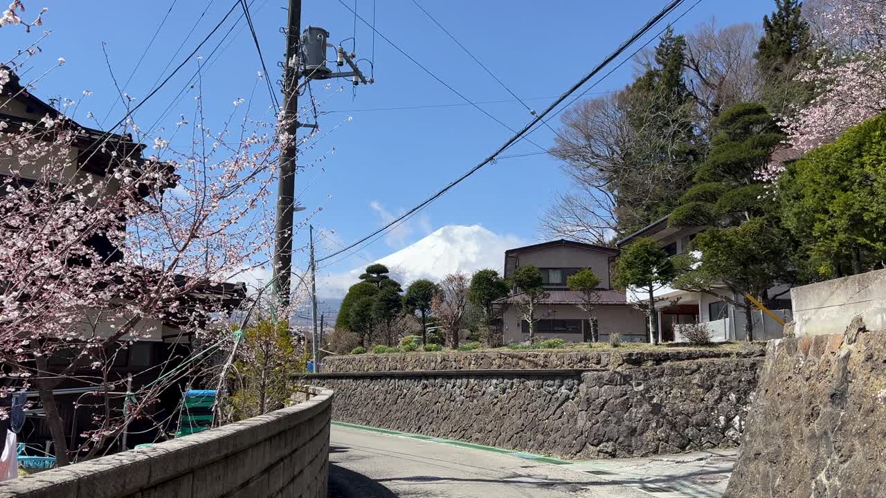 Walking through typical rural scenery in Japan near Mt. Fuji with Sakura cherry blossoms