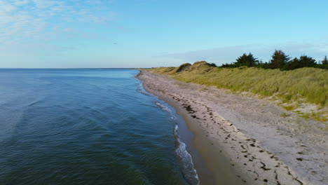 aerial-of-bird-flying-over-Skagen-beach-with-no-people-and-grassy-dune-landscape-in-Denmark