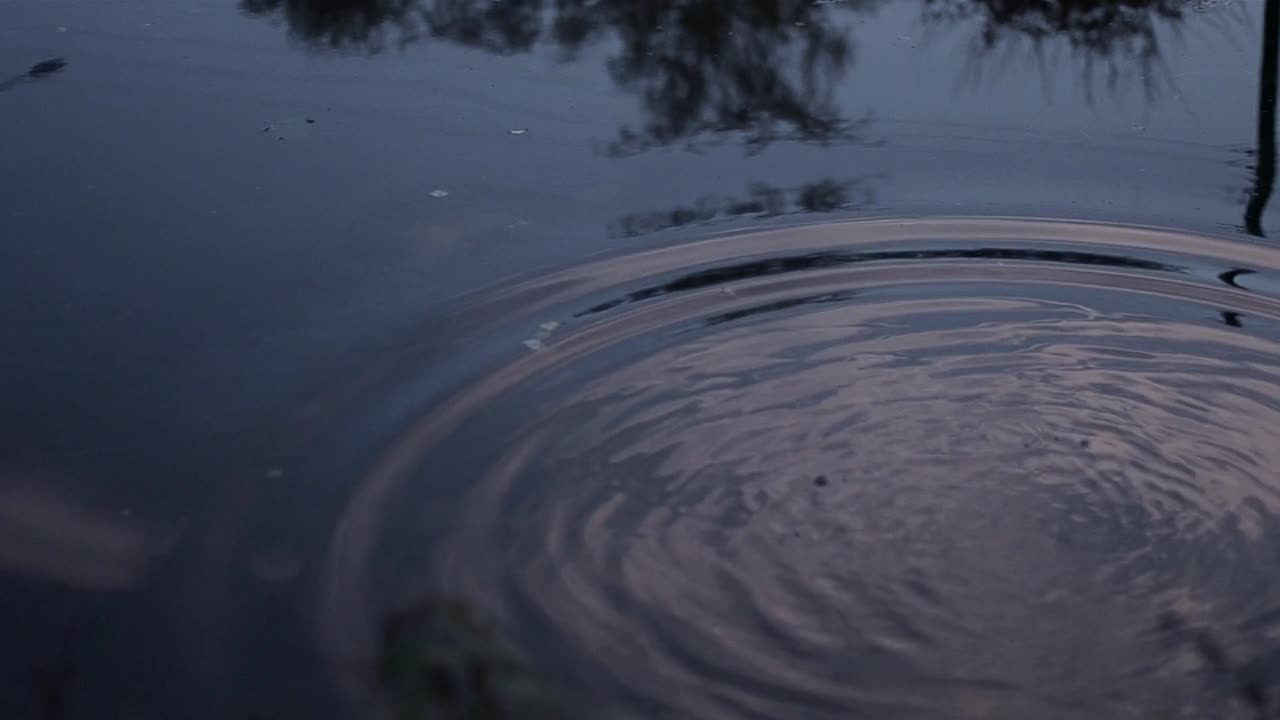 물 속의 조약돌은 하늘의 잔물결 반사를 만듭니다.