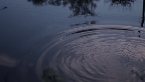 Guijarro-En-El-Agua-Crea-Ondas-Reflejo-Del-Cielo