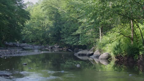 Misty-brook-with-pan-left