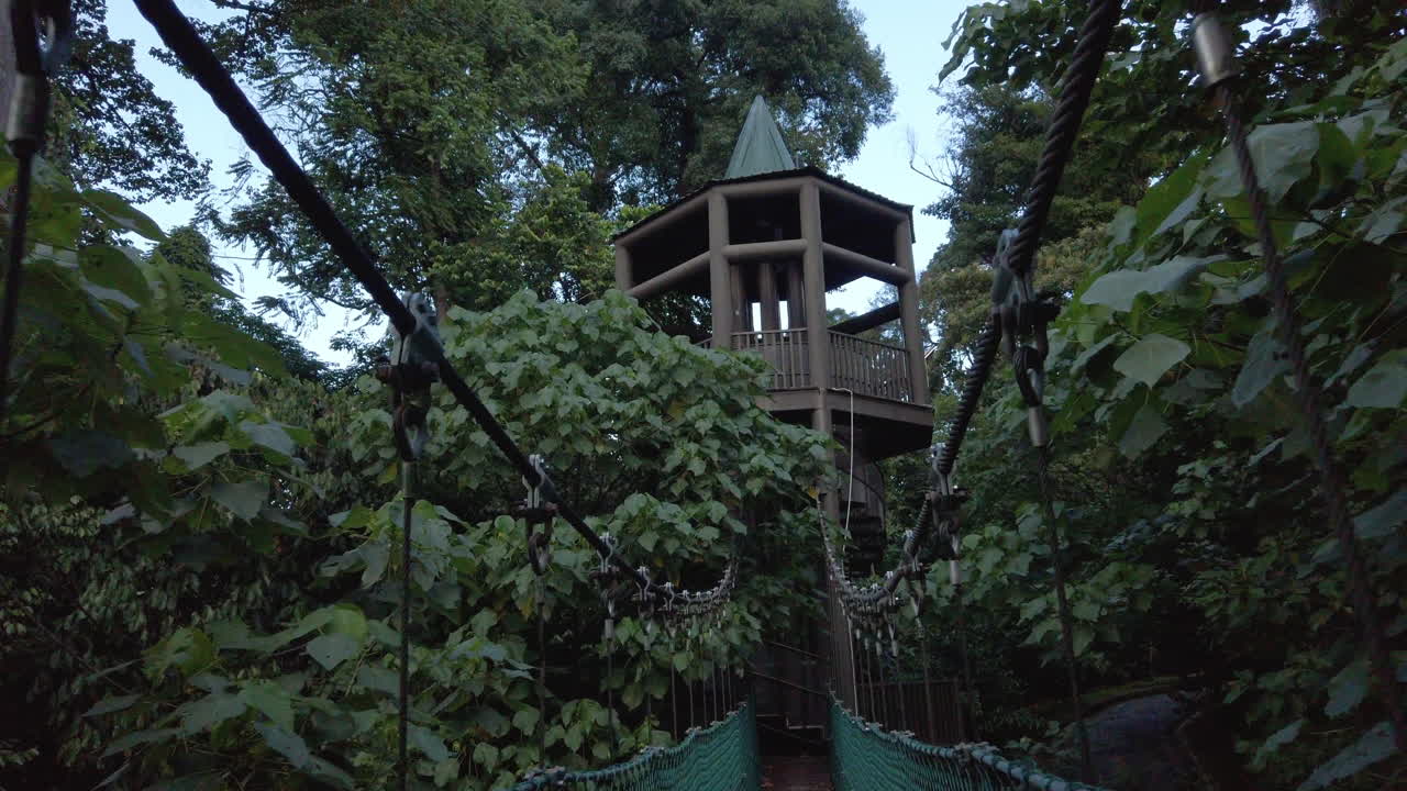 el puente colgante colgante en el paseo del dosel, el parque ecológico del bosque de kuala lumpur