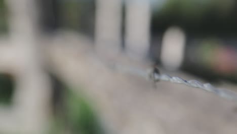 Rack-focus-of-a-barbed-wire-fence-on-the-countryside