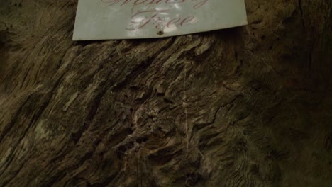 Wishing-Tree-Sign-Nailed-On-Trunk---Wishing-Tree-Track-At-Lamington-National-Park---Queensland,-Australia