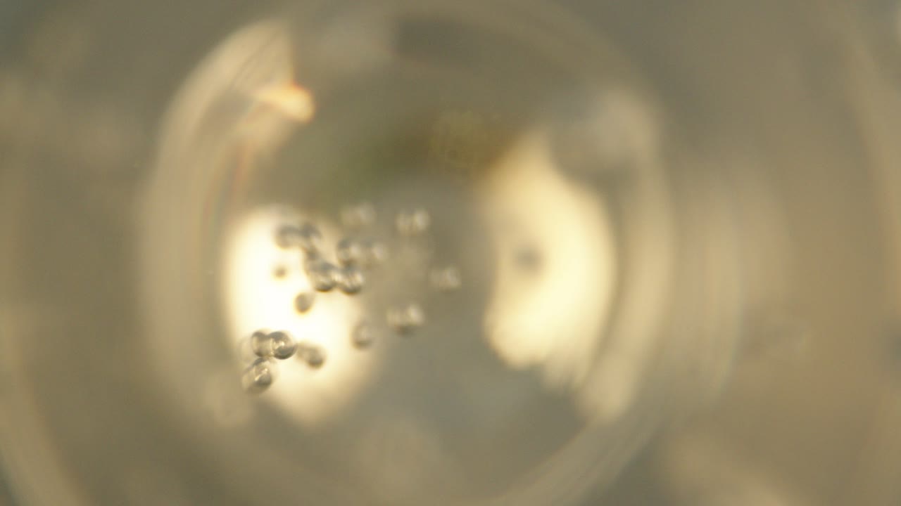 투명한 유리잔 안의 음료에서 떠오르는 거품