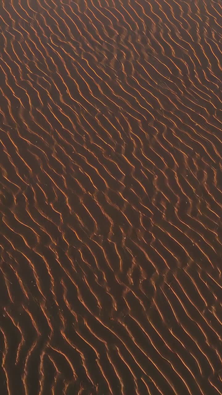 Vertical video: Shifting camera revealing rippled sand on dune field, warm glints moving