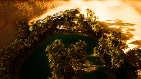 top-down-aerial-view-of-oasis-in-desert