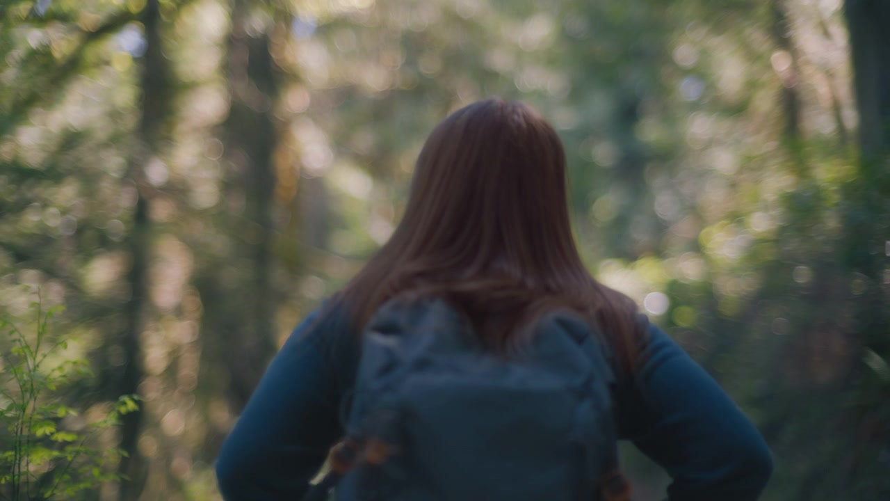 Back view of a hiker walking down the path in the woods