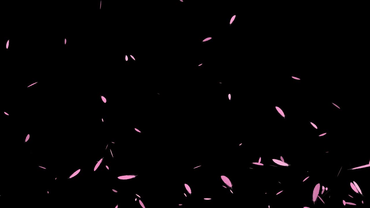 분홍색 털 날아가는 입자 모션 그래픽