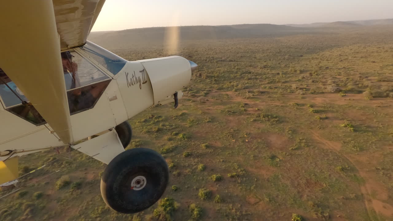 Aereo su veduta aerea di vegetazione e paesaggio.