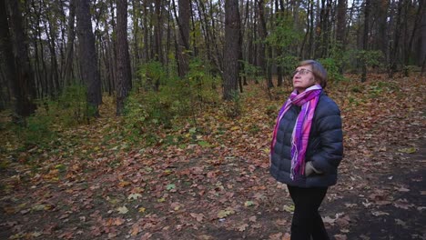 woman walking in autumn forest