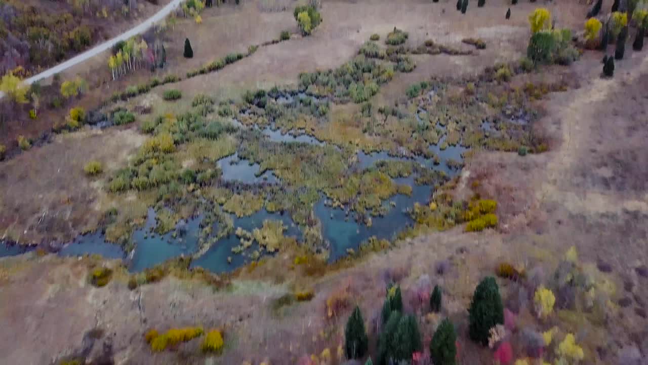 tierra pantanosa en la cuenca de nieve utah con abundantes reflejos de agua y álamos y árboles de hoja perenne - inclinación aérea del carro