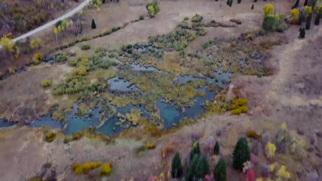 Tierra-Pantanosa-En-La-Cuenca-De-Nieve-Utah-Con-Abundantes-Reflejos-De-Agua-Y-álamos-Y-árboles-De-Hoja-Perenne---Inclinación-Aérea-Del-Carro