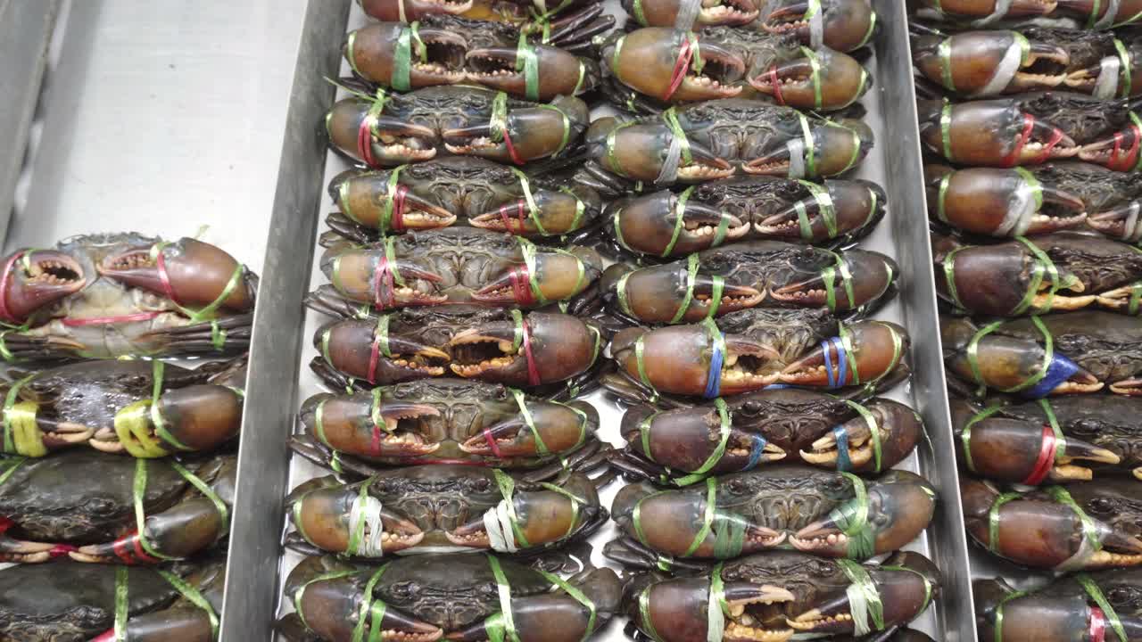 태국의 해산물 습식 시장에서 판매되는 살아있는 검은 게의 클로즈업 샷