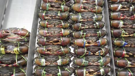 a close up shot of live black crabs for sale in a seafood wet market in thailand