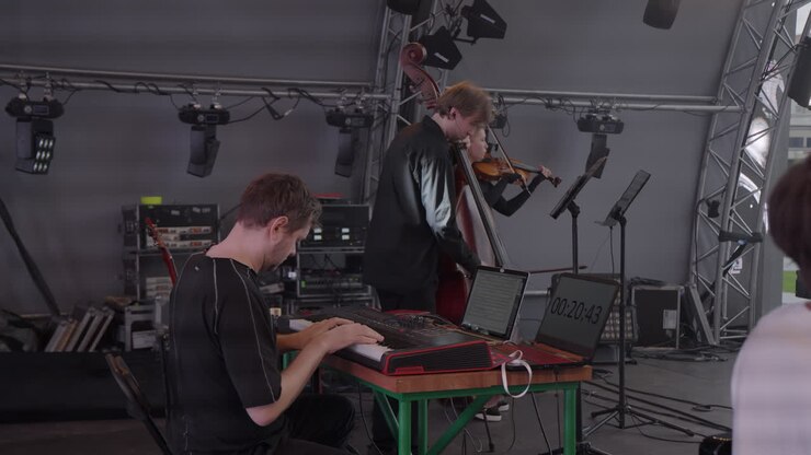Concert Performance by Musicians