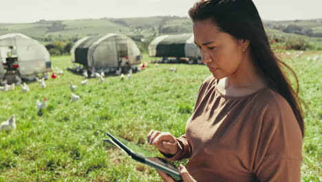 thinking, sustainability and a woman with a tablet