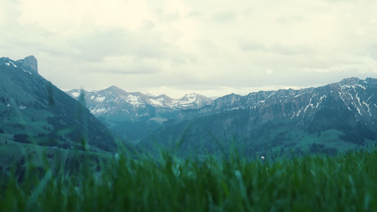 beautiful mountain landscape on a meadow