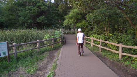 In-the-Shakujii-park-in-Tokyo,-many-people-go-for-a-walk-or-run-on-summer-afternoons,-since-at-that-time-the-temperature-drops-and-it-is-very-pleasant-to-do-sports