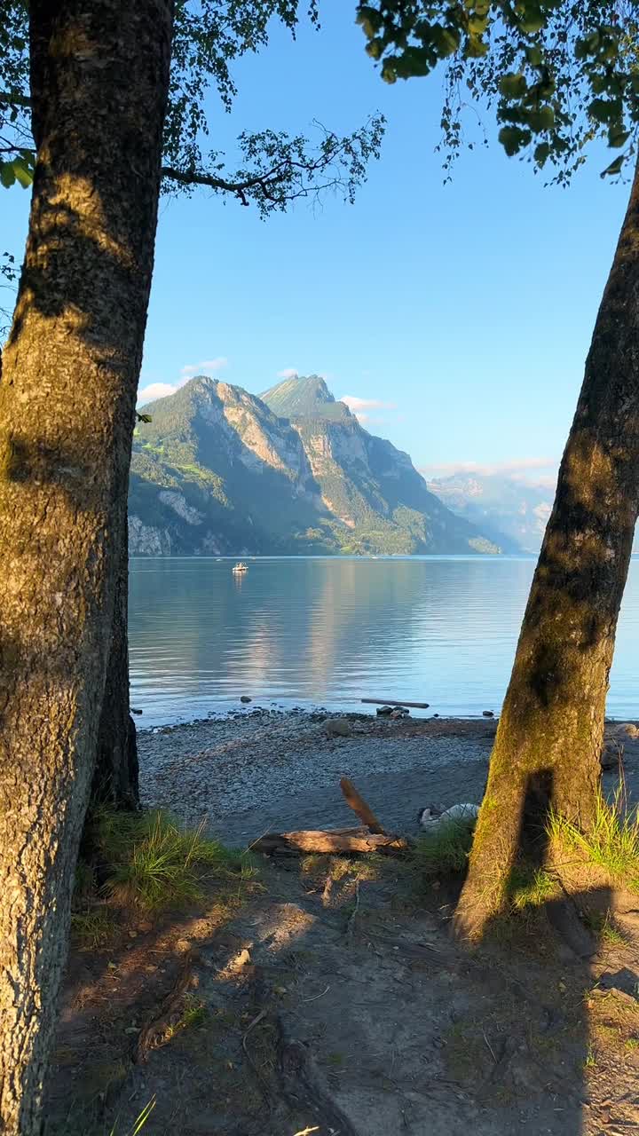 Momen tenang di pantai berbatu Danau Walen di Swiss dengan seekor anjing yang penasaran