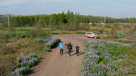 Luftbild-Vogelperspektive-Drei-Junge-Männer-Gehen-Weg-Und-Reden-Miteinander.-Drohne-Ansicht-Gruppe-Von-Freunden-Hinter-Ansicht-Gespräch-Gehendes-Auto.-Tourist,-Der-Das-Wahrzeichen-Verlässt,-Bereit-Für-Die-Reise