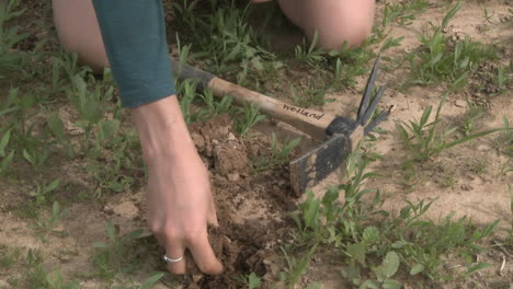 Women-planting-oak-acorns-at-the-Ojai-Meadow-Preserve-in-Ojai-California