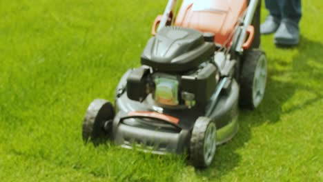 lawn mower cutting the grass. gardening activity. cutting grass with petrol driven lawn mower in sunny garden. gardener working with  mower machine in the garden. lawn mower cutting green grass