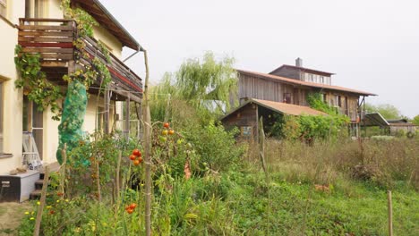 two rural houses with vegetable patch in backyard