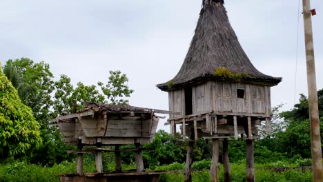 Timorese-traditional-cultural-Uma-Lulik-sacred-houses-with-thatched-roof-in-remote-Lospalos,-Lautem-in-Timor-Leste,-Southeast-Asia