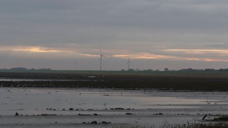 Saltmarsh-and-lagoon-with-wind-turbines-in-back-ground-at-dawn