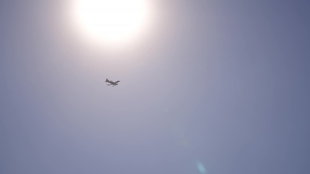 Gult fly, der flyver på himlen