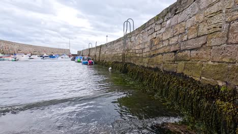 boats floating near a seaweed-covered wall