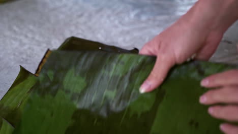 Elephant-sanctuary-workers-preparing-palm-leaf-rolls-for-elephants