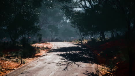 asphalt road through the deep forest