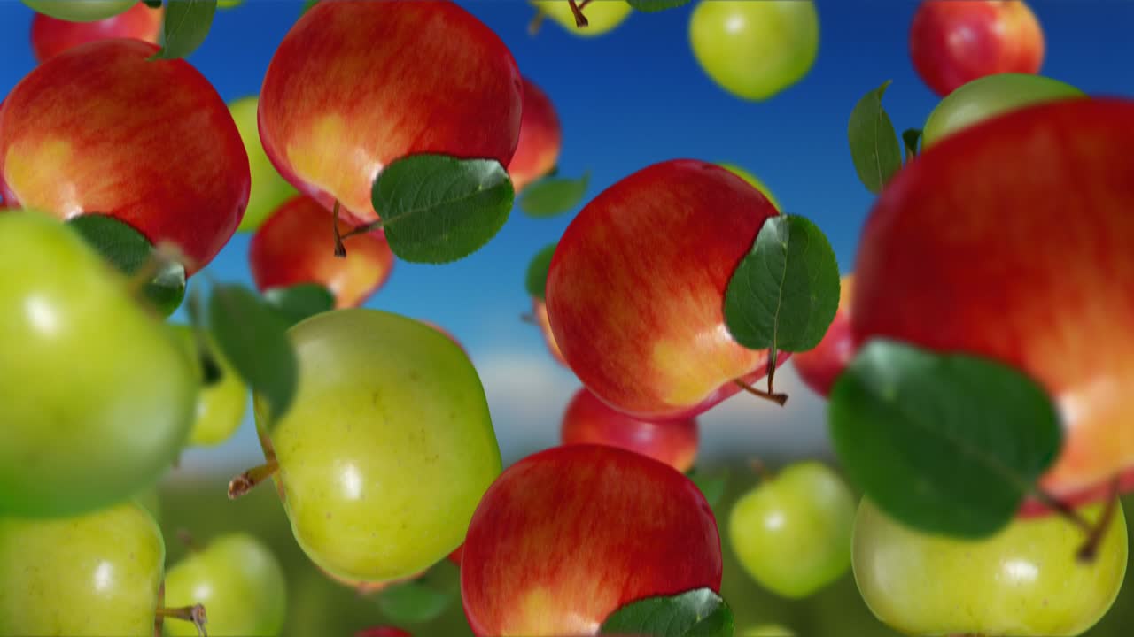 Apples falling down. Slow motion